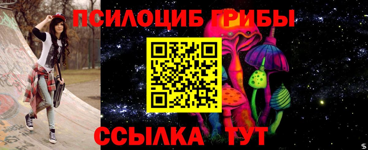 магазин продажи   Вход с VPN  Александров  Псилоцибиновые грибы ЛСД  Галлюциногенные грибы мухоморы 